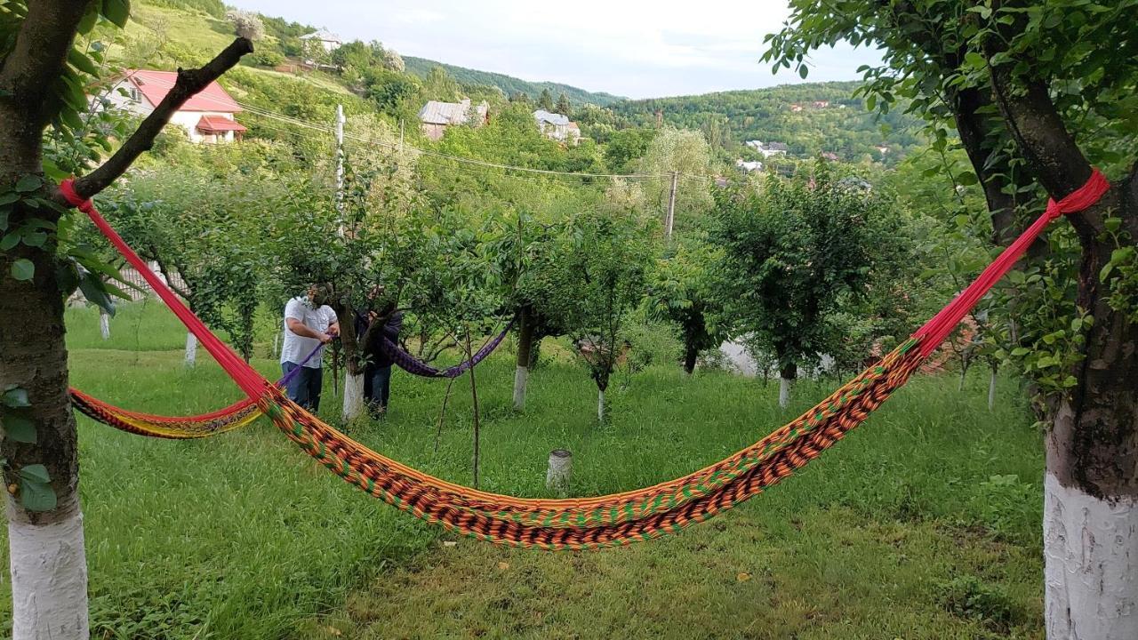 Casa Lorena Sărata-Monteoru Exteriér fotografie