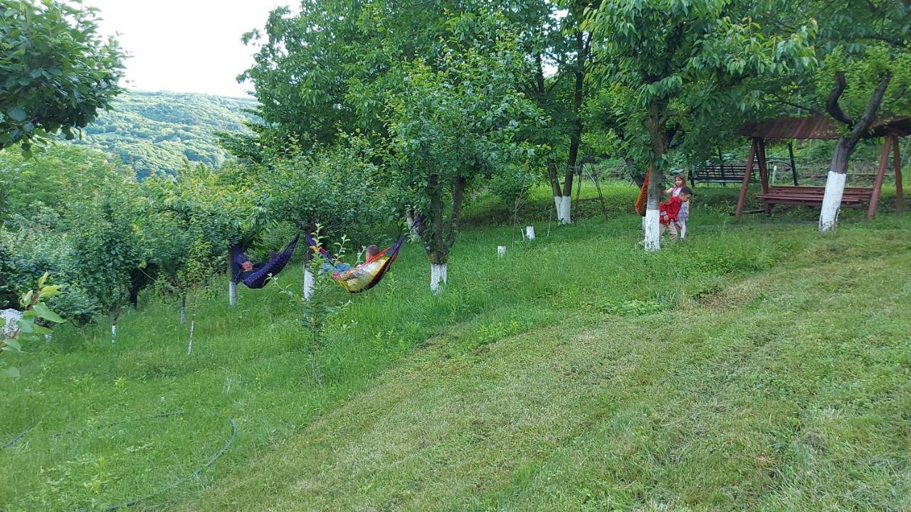 Casa Lorena Sărata-Monteoru Exteriér fotografie