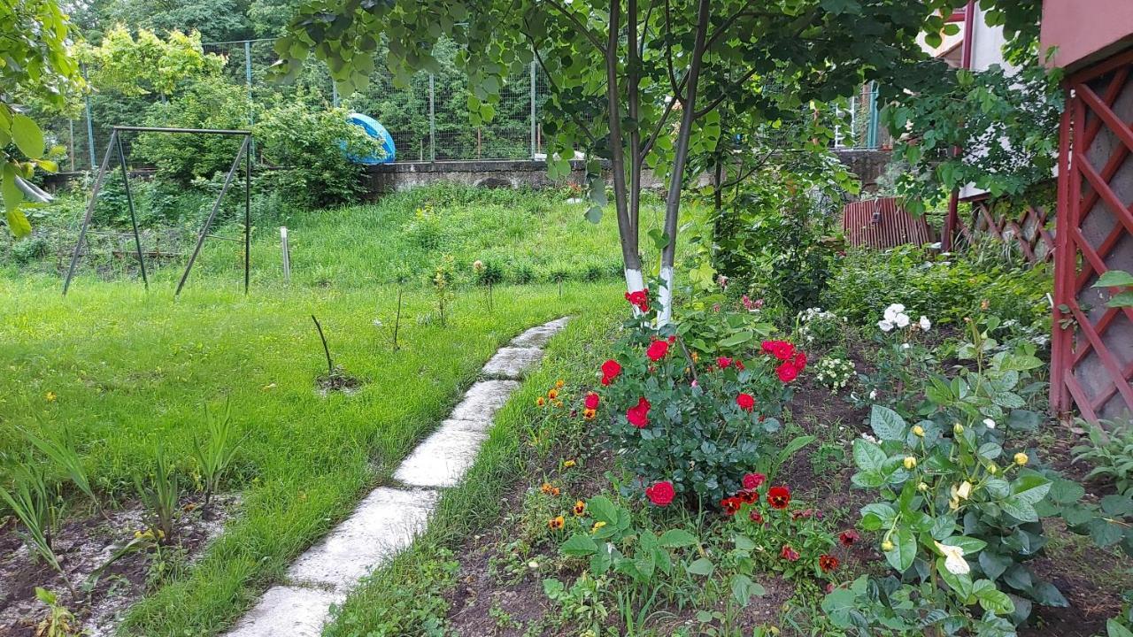 Casa Lorena Sărata-Monteoru Exteriér fotografie