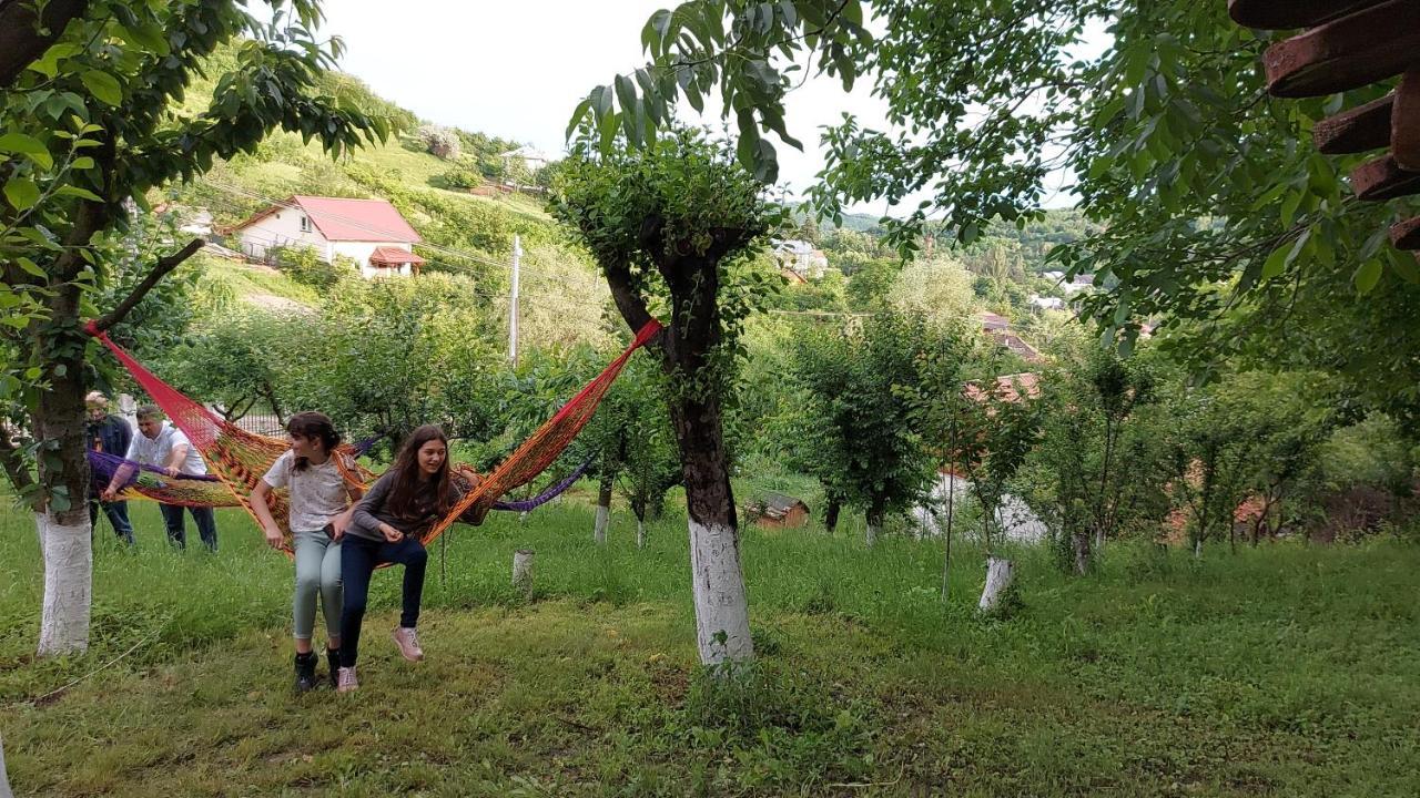 Casa Lorena Sărata-Monteoru Exteriér fotografie