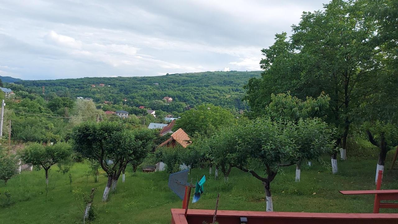Casa Lorena Sărata-Monteoru Exteriér fotografie