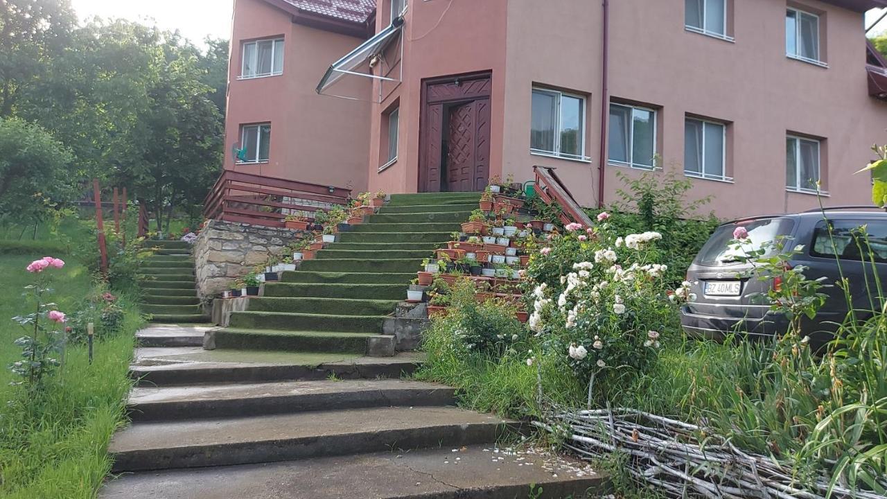Casa Lorena Sărata-Monteoru Exteriér fotografie