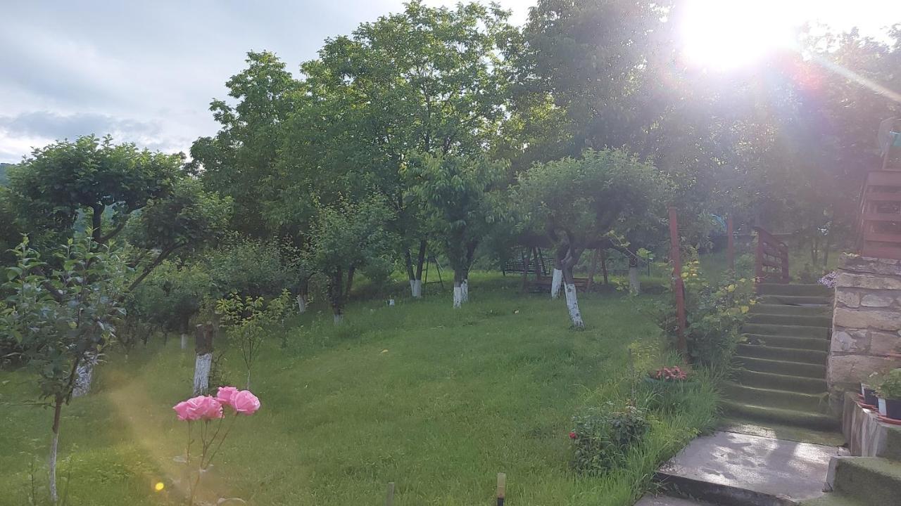 Casa Lorena Sărata-Monteoru Exteriér fotografie