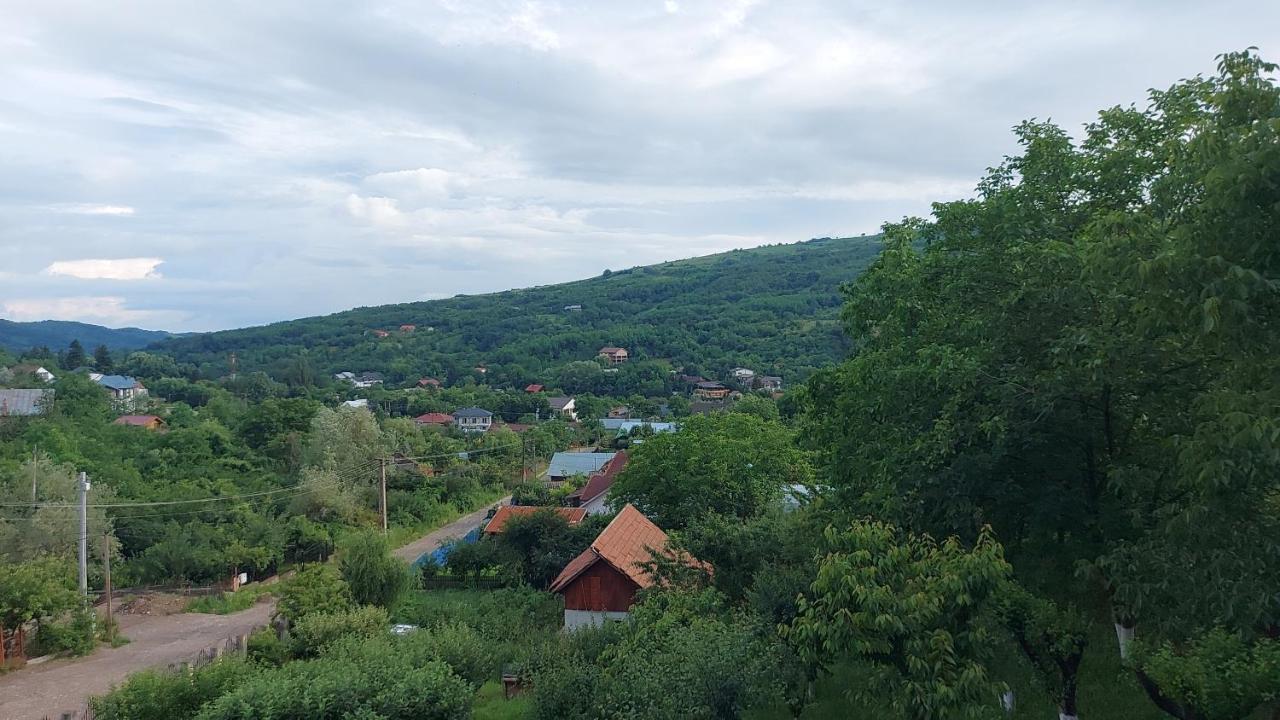 Casa Lorena Sărata-Monteoru Exteriér fotografie