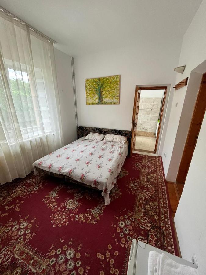 Casa Lorena Sărata-Monteoru Exteriér fotografie
