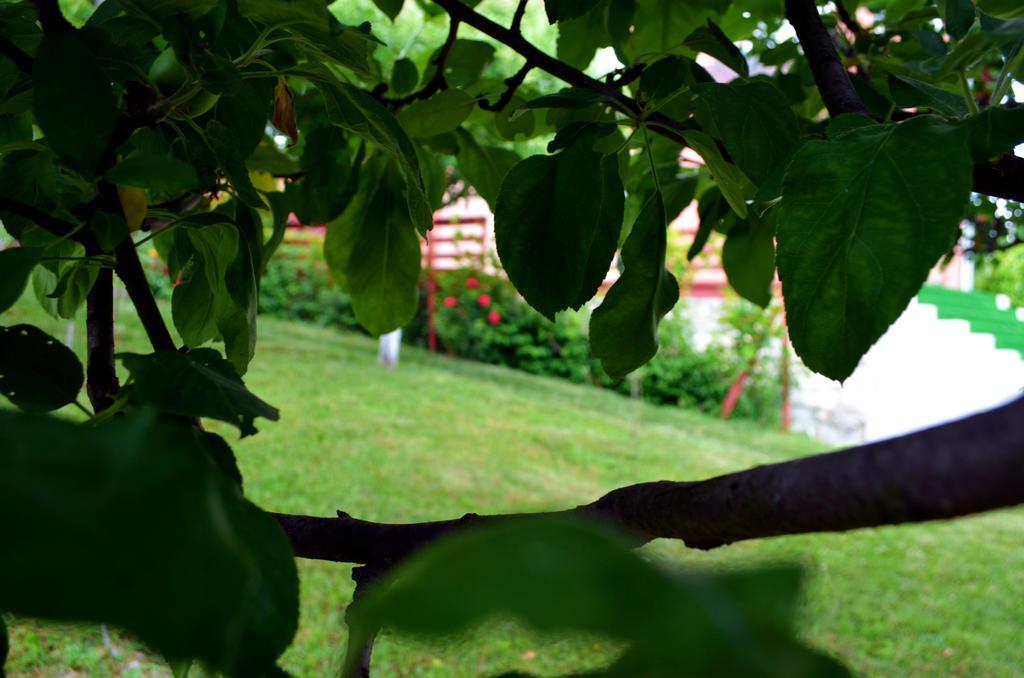 Casa Lorena Sărata-Monteoru Exteriér fotografie