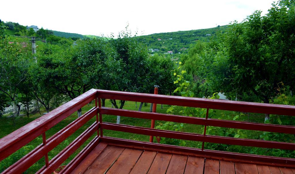Casa Lorena Sărata-Monteoru Exteriér fotografie